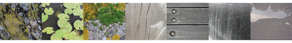 Kinderdijk_referenties 3