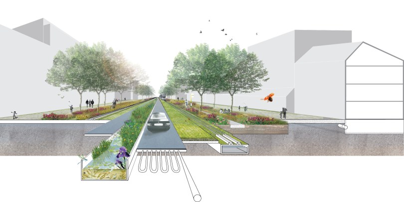 beelden website_kleiner3